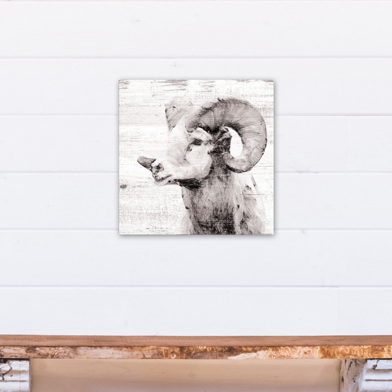 White Ram - Wrapped Canvas Graphic Art