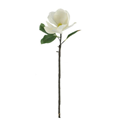 Tige de magnolia