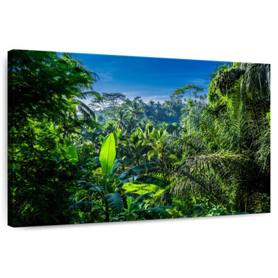 Alvord Bali Tropical Jungle