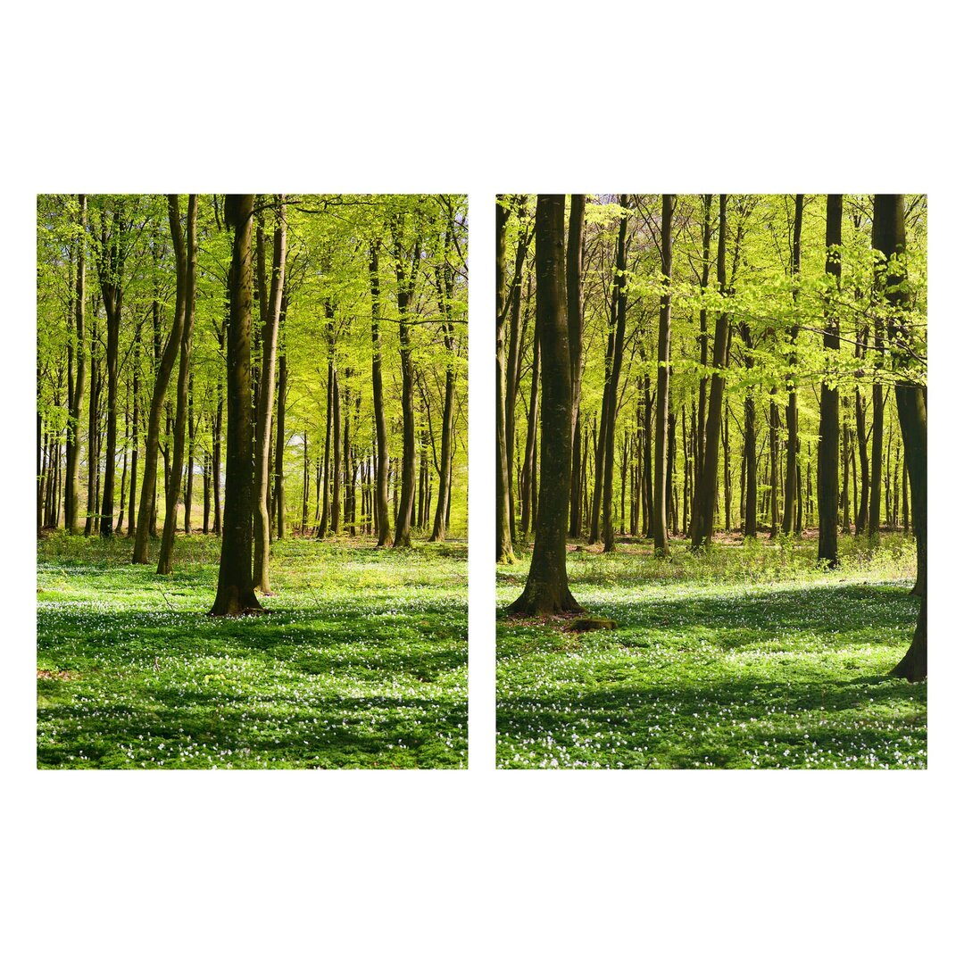 Leinwandbild Forest Meadow