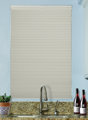 Blanc hivernal