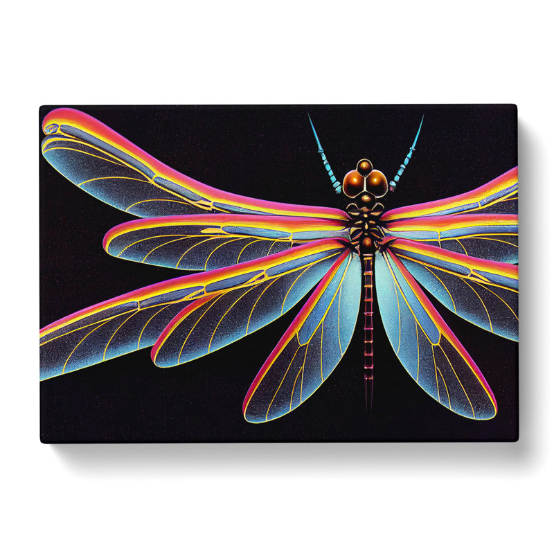 Chrome Dragonfly - Wrapped Canvas, 40cm H x 60cm W x 3cm D