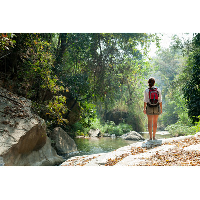 Woman With Backpack Trekking In Rainforest by FredFroese - No Frame Art Prints on Canvas