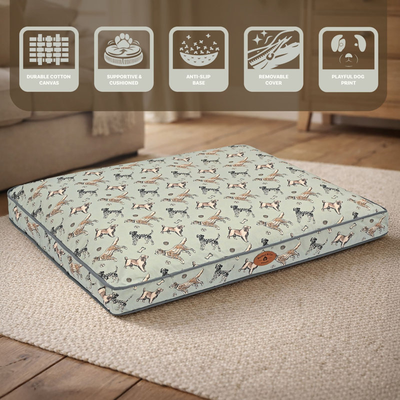 Cotton Pet Bed, 9cm H x 76cm W x 55cm D