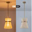 Luminaire suspendu 2 lumières unique