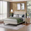 Bed, Luma Upholstered Wingback-1538577004