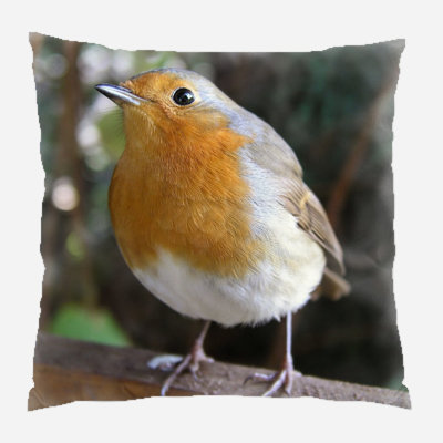  Coussin décoratif en toile Bird
