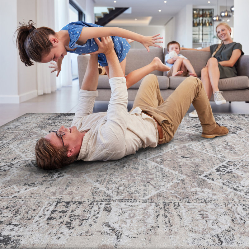 Collection 6X9 Cream/Anthracite /Traditional Non-Shedding Living Room Bedroom Dining Home Office Stylish And Stain Resistant Area Rug