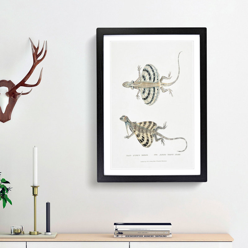 Dragon Lizard by John Edward Gray - Picture Frame Painting Print, 65cm H x 48cm W x 2cm D, Black Framed