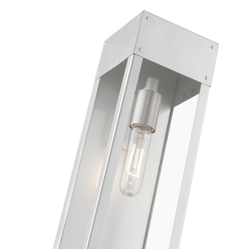 Lanterne murale d'extérieur 15 po à 1 ampoule Pippo, Nickel satiné peint / nickel brossé
