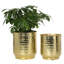 Handmade Pot Planter-589932627