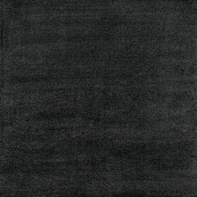 Asaldis Solid Low-Pile Black Rug, Square 7'