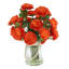 Ranunculus Fall Arrangement in a Glass Vase with Rope Accent