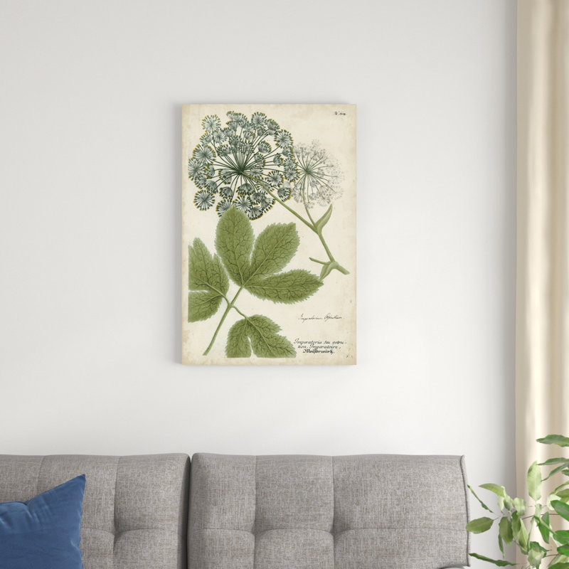 Queen Anne's Lace, H 30 po x l 20 po x P 1,25 po