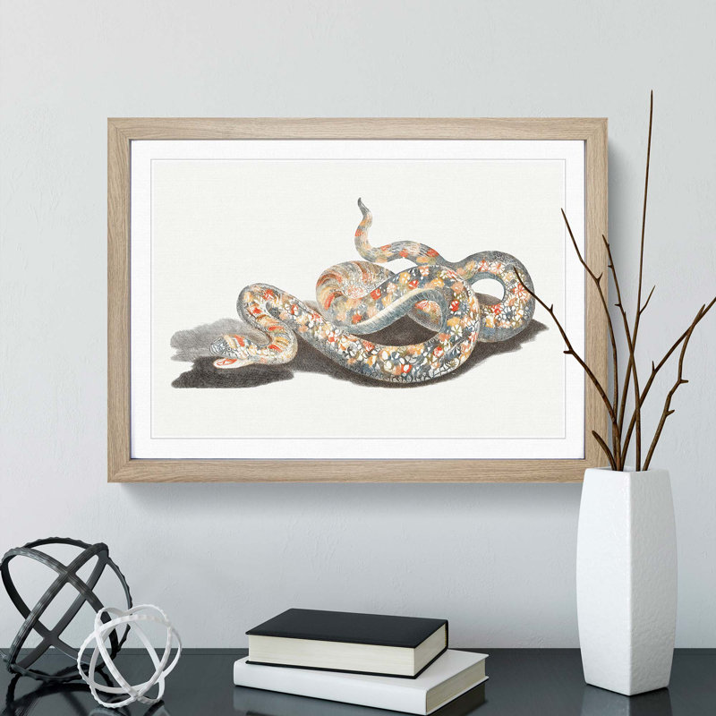 A Snake by Johan Teyler - Single Picture Frame Painting, 45cm H x 63cm W x 2cm D, Oak Framed