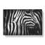 Stripes of the Zebras - Wrapped Canvas-56645697