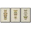 Ensemble de 3 papillons encadrés sur toile,-97710529-97710528