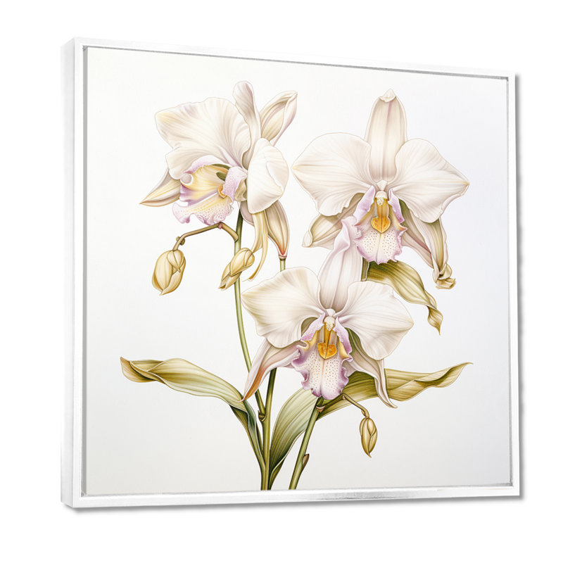 Illustration rétro d'une orchidée blanche - art mural orchidée, H 36 po x l 36 po, Cadre flottant blanc, bois massif