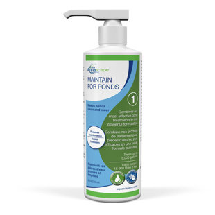 Maintain for Ponds Algues Control