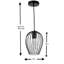 Finkelstein 1-Light Single Geometric Industrial Cage Style Black Pendant