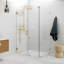 46" W Pivot Frameless Shower Door-371031038