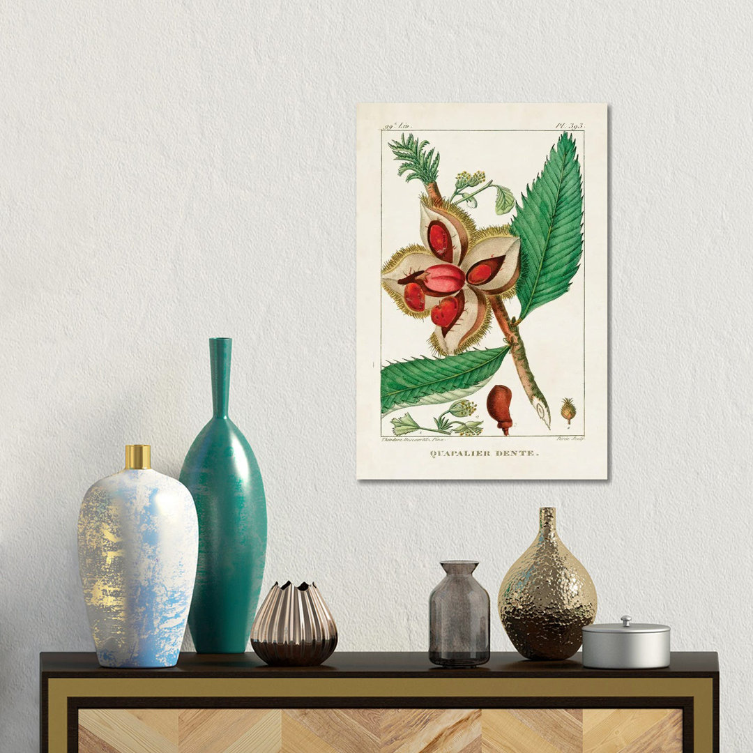 Turpin Foliage & Fruit II von Turpin - Ohne Rahmen Galerieverpackte Leinwand Giclée auf Leinwand