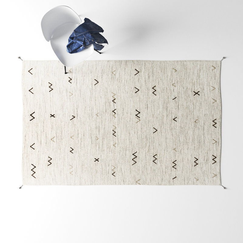 Bodie Southwestern Handwoven Wool Area Rug in Light Gray/Light Brown, Rectangle 9' x 13'