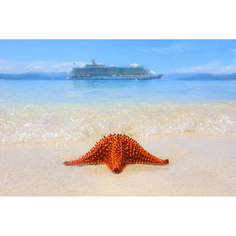 Starfish On The Beach - Wrapped Canvas Print, 61cm H x 91cm W x 3.8cm D
