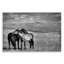 Plaque murale Focused Horse Duo, design par Wendy Caro-1999524564