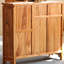 Armoire d'entrée en bois de camphre massif