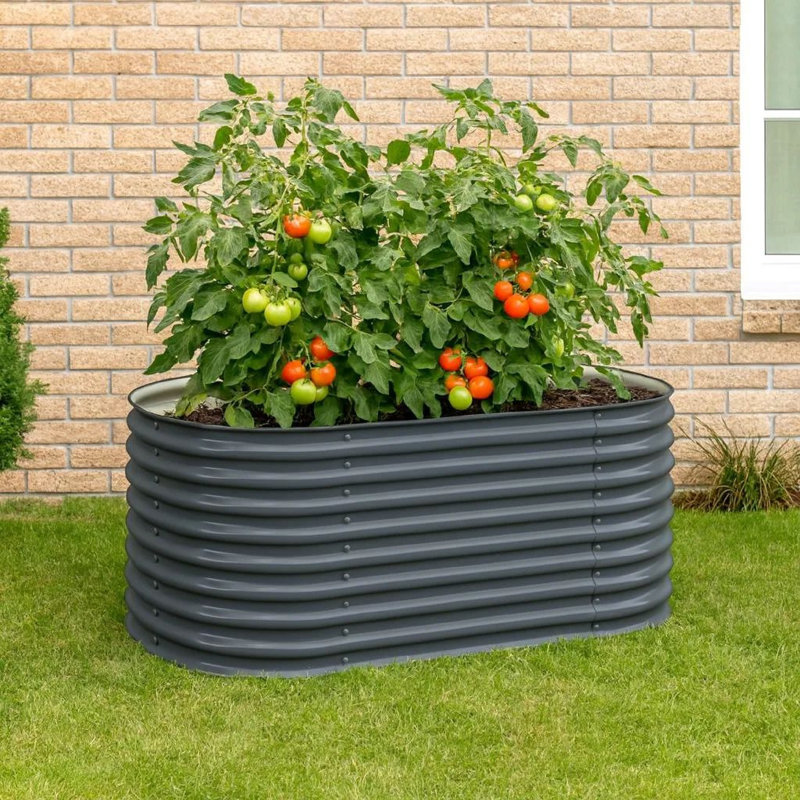 Lit de jardin surélevé Eline, acier gris, conception nervurée, 63 pouces, Gris, H 31,9 po x l 63 po x P 63 po