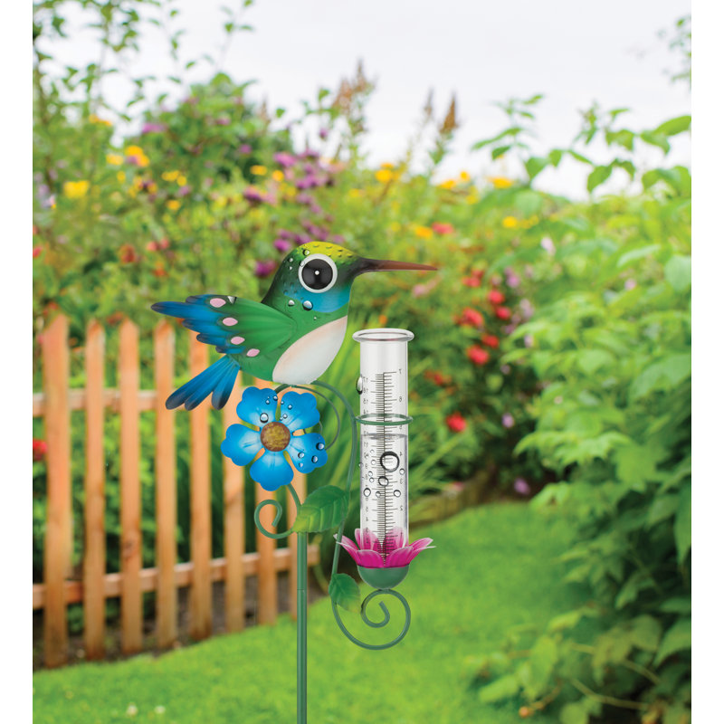 Piquet de pluie - colibri