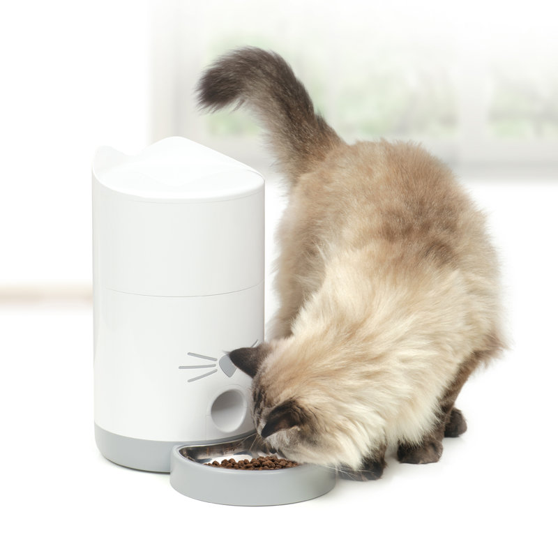 Stainless Steel Smart Cat Feeder with Mobile App Control