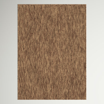 Iyana Indoor/Outdoor Flatweave Area Rug