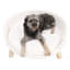 Canapé-lit pour chien avec coussin rembourré amovible Nott Dog-194298689