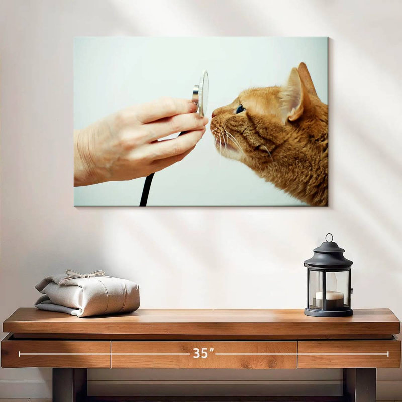 " Cat Vet ", 16" H x 24" W x 1.25" D