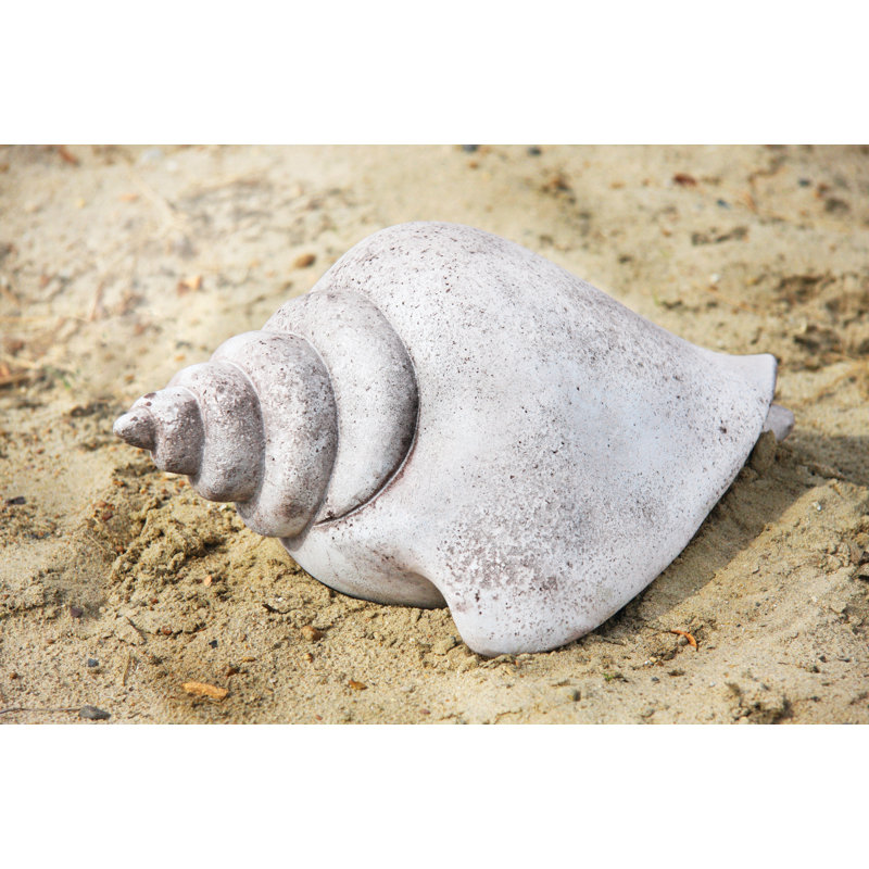 Statue coquillage Teejay