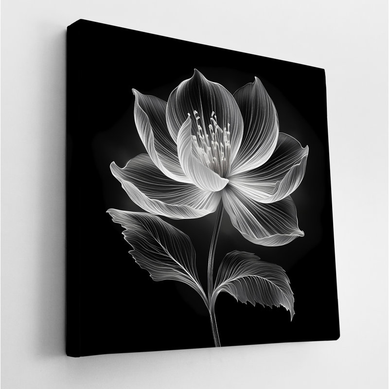 Xray Jasmine III, 36" H x 36" W