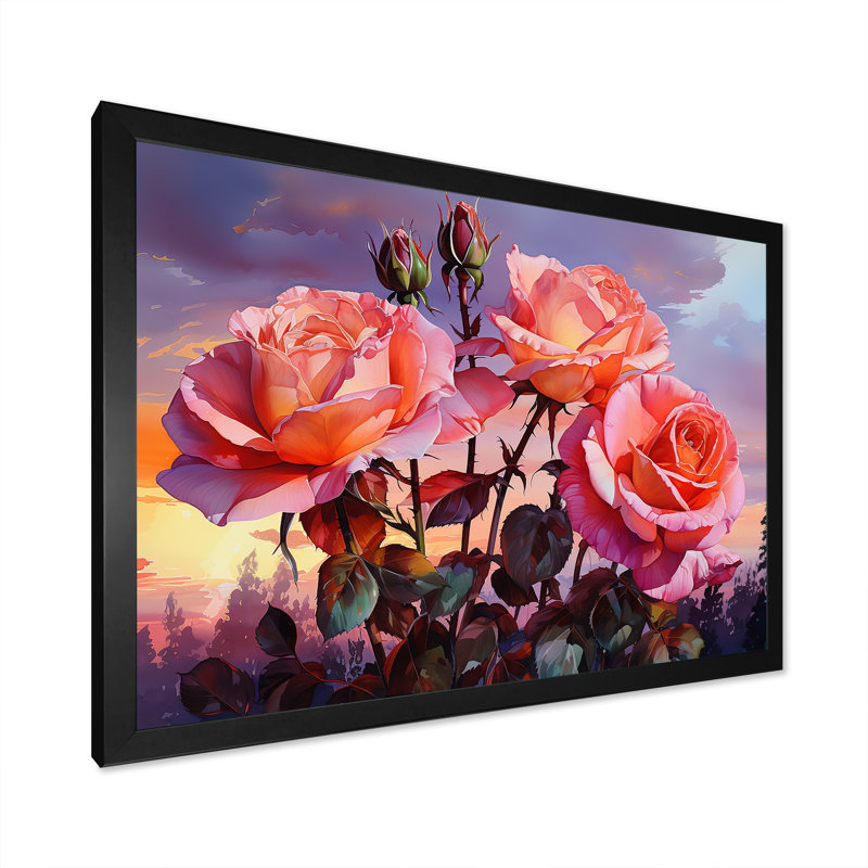 Coral Roses Sunset I, Cadre simple noir, H 34 po x l 44 po x P 1,5 po