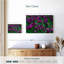 Tulipes violettes Alvord-108736529