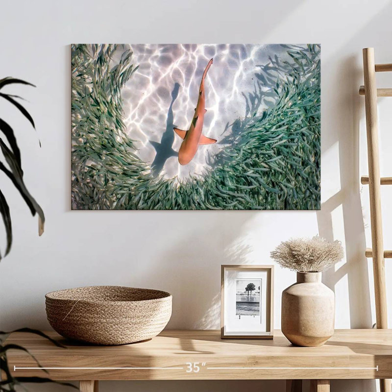 Brampt Baby Blacktip Reef Shark, 16" H x 24" W