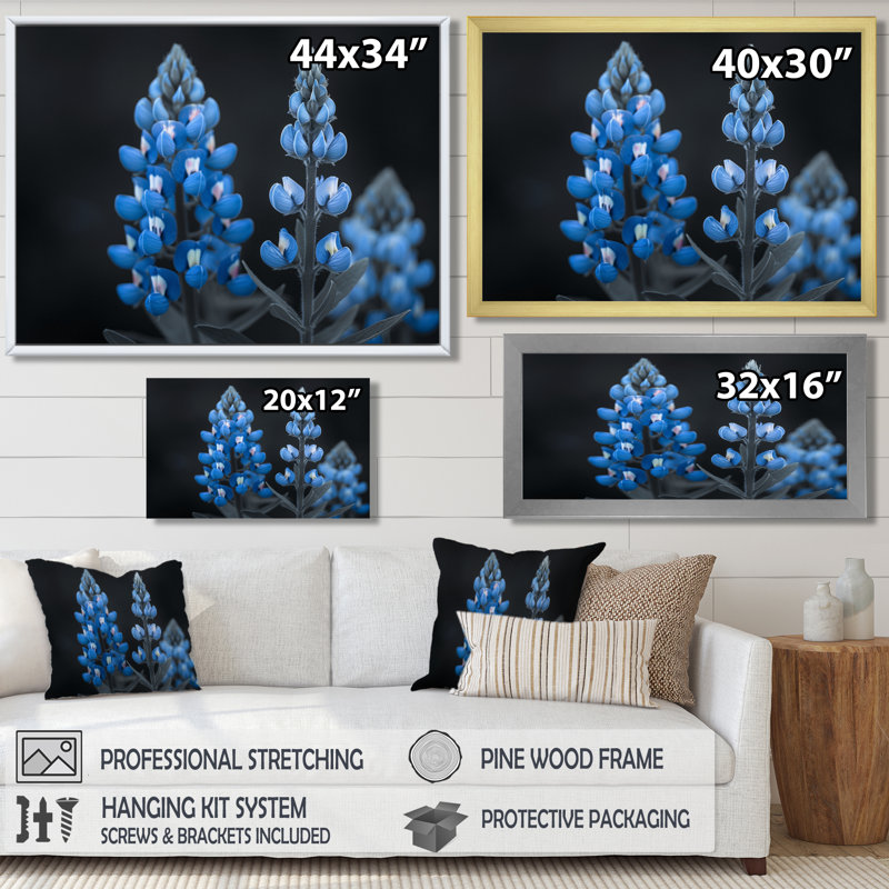 «Blue Bonnets Peaceful Summer Meadows» - impression d'art mural bleu, Cadre simple blanc, H 16 po x l 32 po