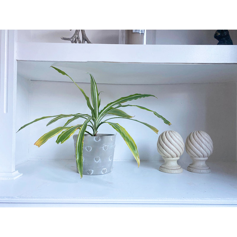 Riaria Planter Box, 13cm H x 16cm W x 16cm D