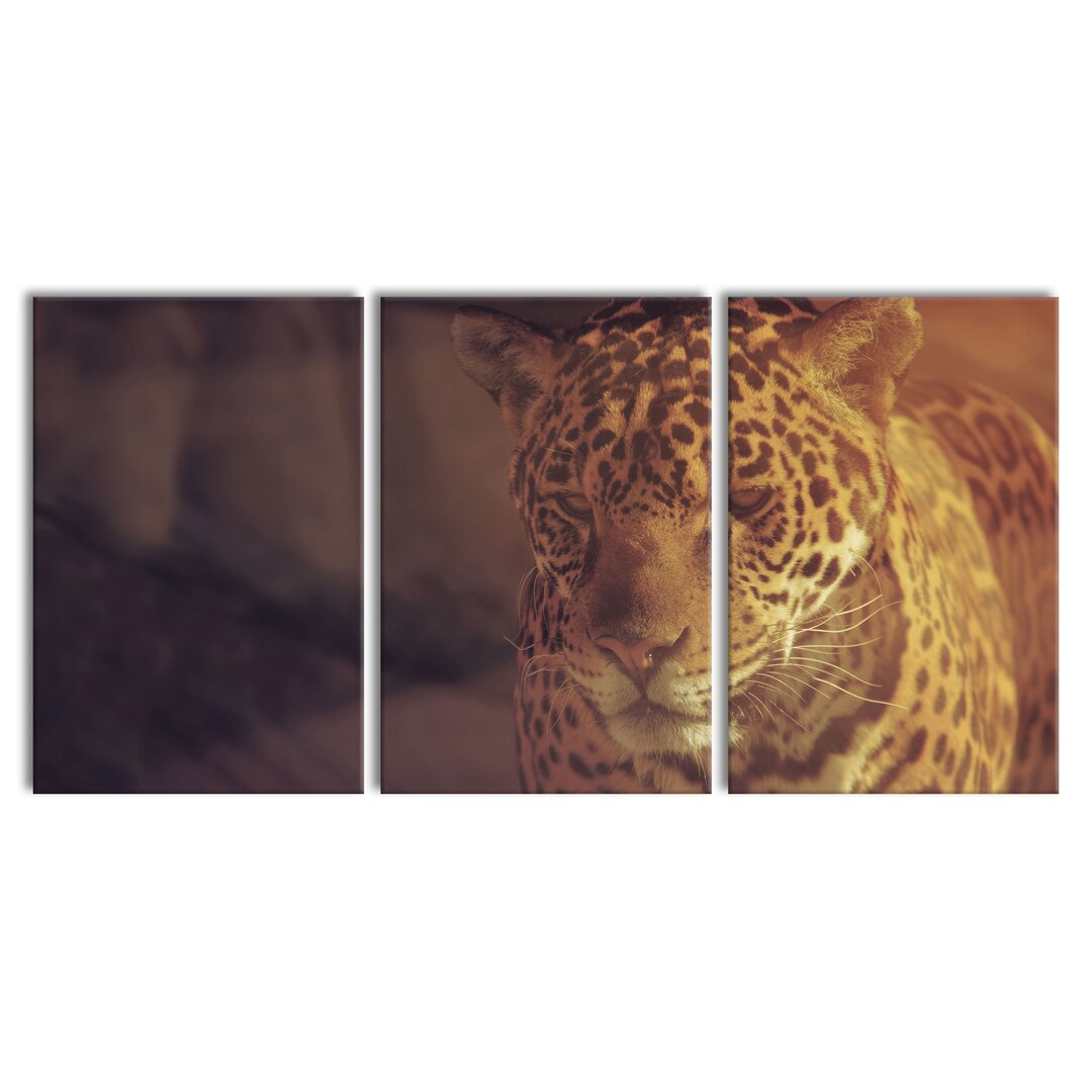 3-tlg. Leinwandbilder-Set Graceful Leopard