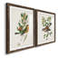 Oiseau antique, botanique et œuf I - ensemble de 2 reproductions d'art sur papier encadré-1329192742-1329192739