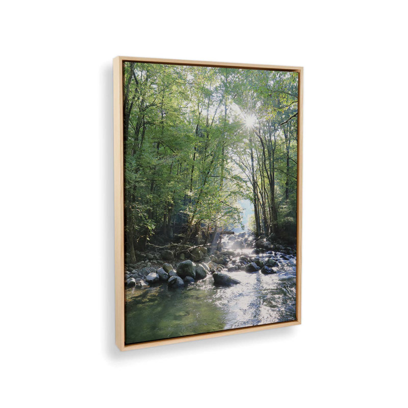 «Little Pigeon River Portrait» par Lori Deiter, reproduction d'art, L 12 po x H 16 po, Toile avec cadre, Tanné