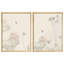Lotus Pond-104785181-104785184