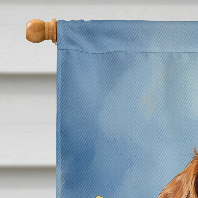 Drapeau «Happy Birthday House», Épagneul Brittany