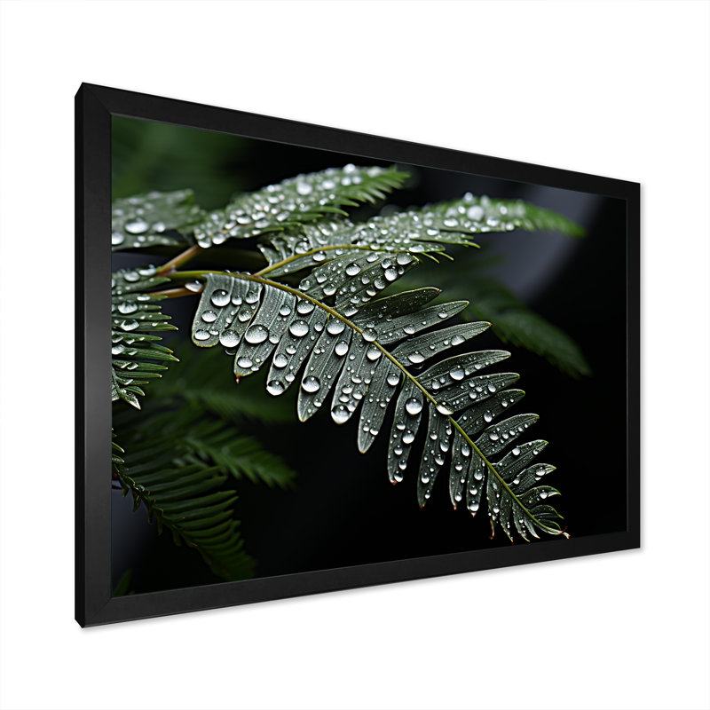 «Ferns Charm in Winter», reproduction sur toile, Cadre simple noir, H 24 po x l 32 po x P 1 po