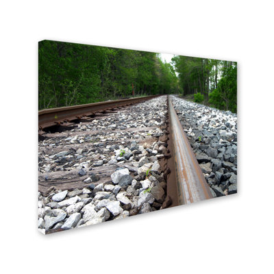 Monica Fleet - Photograph on Canvas